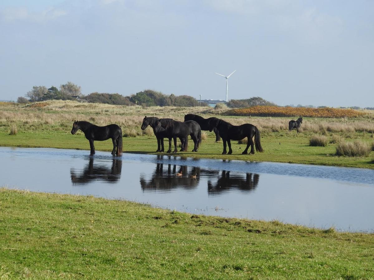 De Hut, In Natuurgebied En Vlakbij Het Strand Hotel Callantsoog Ngoại thất bức ảnh